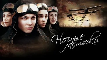 Ночные ласточки