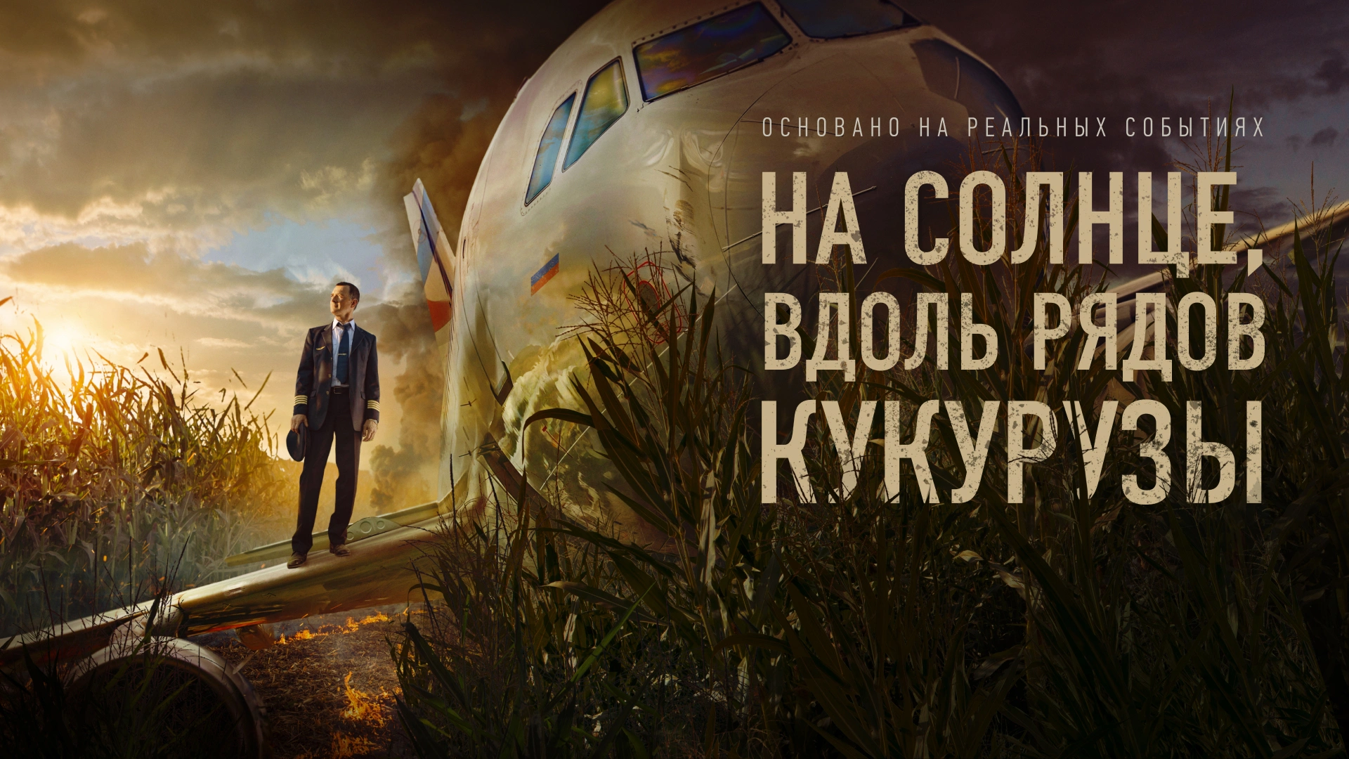 На солнце, вдоль рядов кукурузы