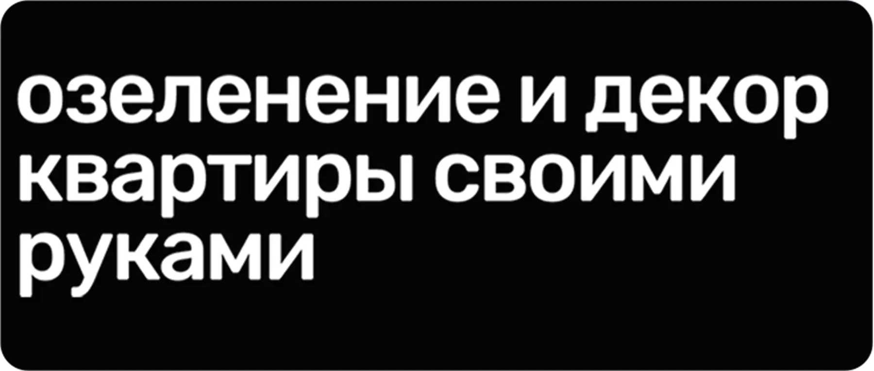 Озеленение и декор квартиры своими руками