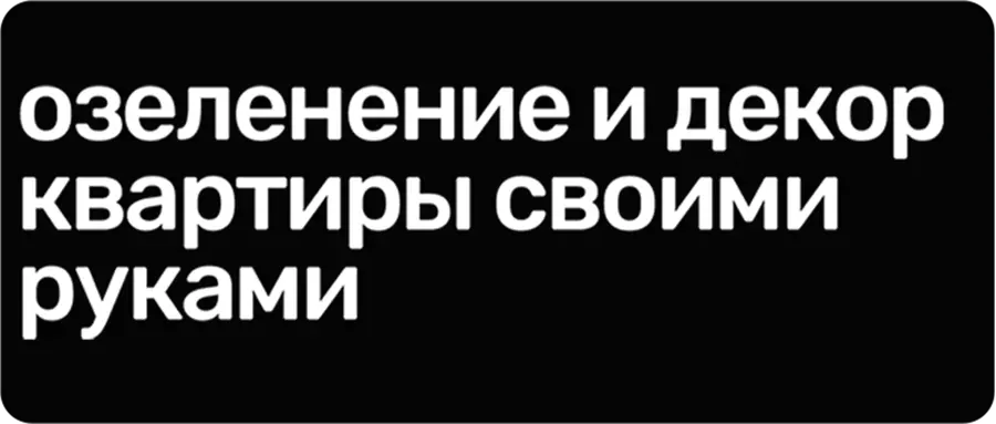 Озеленение и декор квартиры своими руками