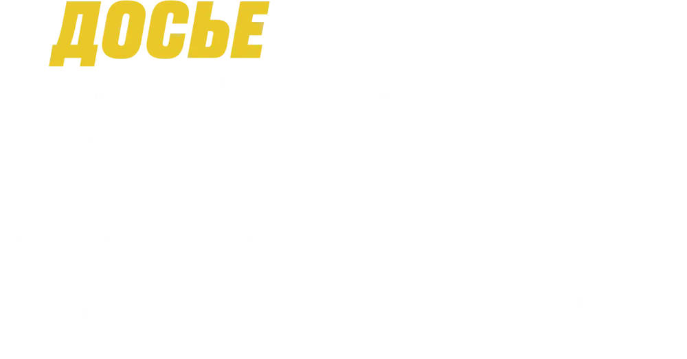 Досье «Чёрная канарейка»