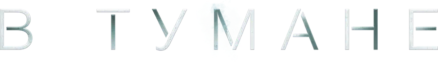 В тумане