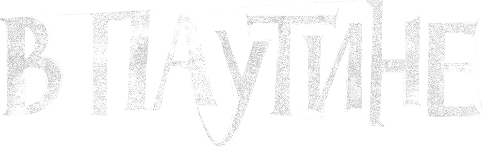 В паутине
