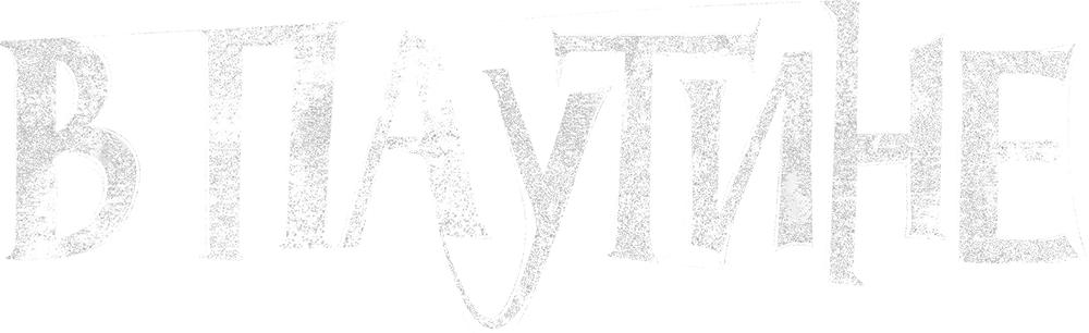 В паутине