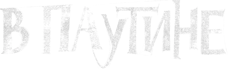 В паутине