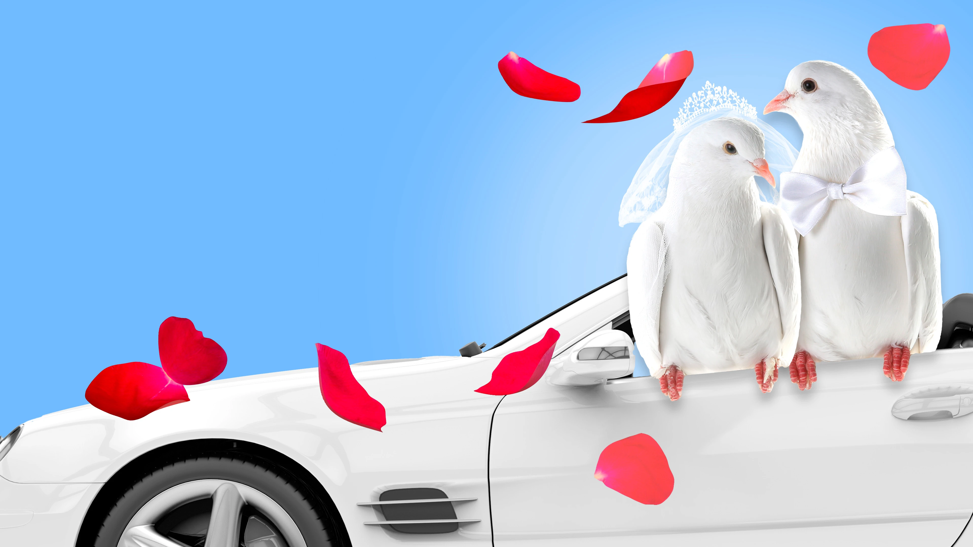 Четыре свадьбы