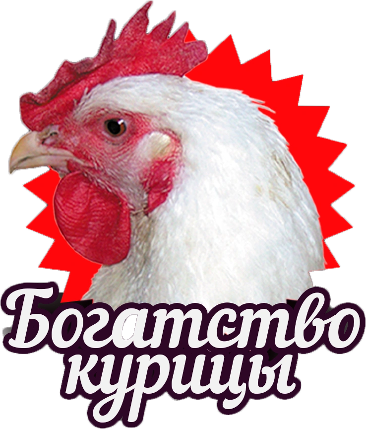Богатство курицы
