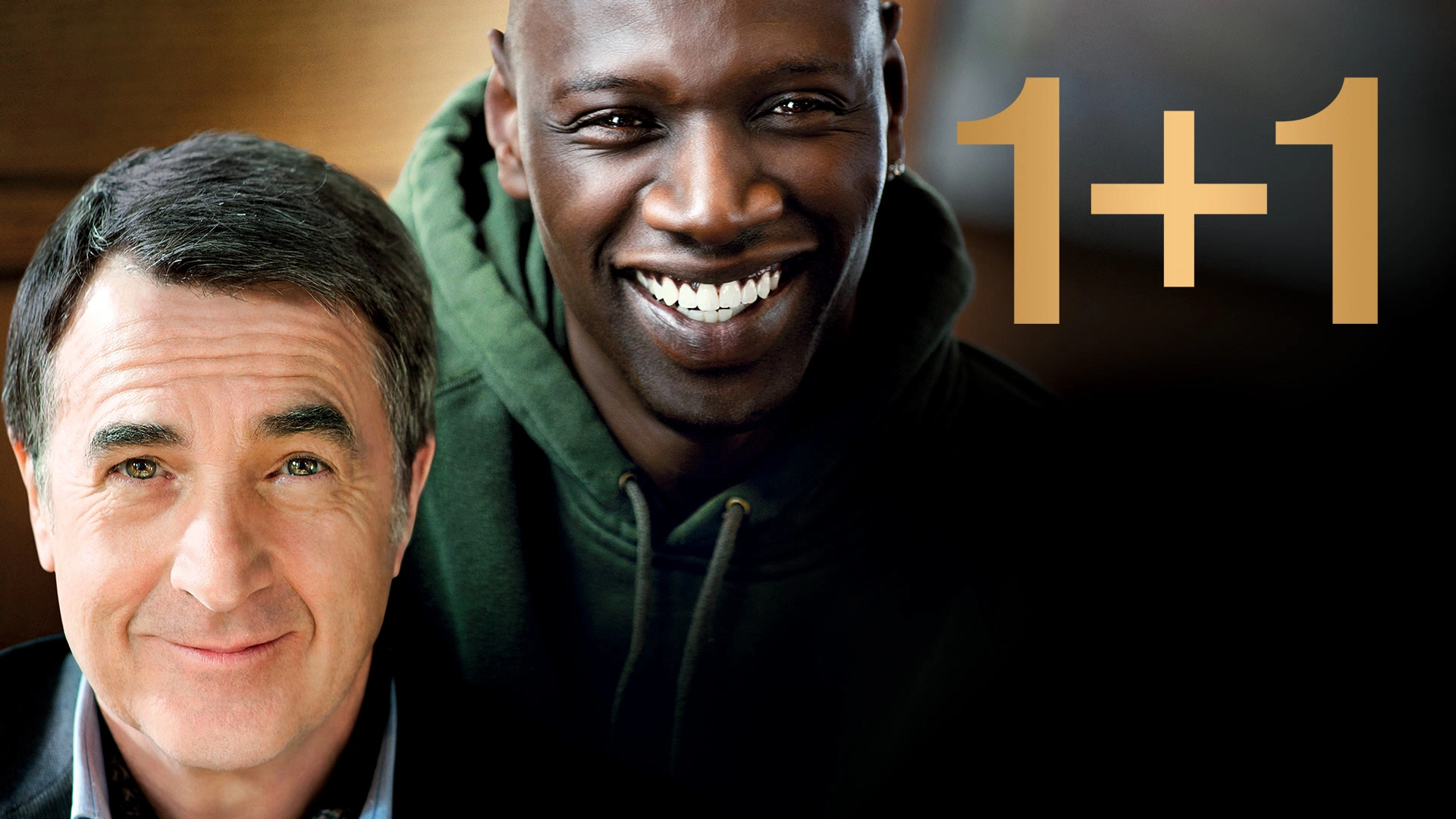 1+1
