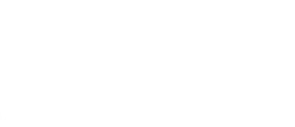 Дорогой Вилли. Настоящая история