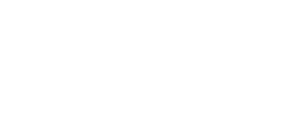 Дорогой Вилли. Настоящая история