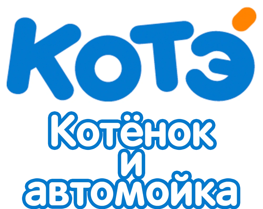 Котенок и автомойка