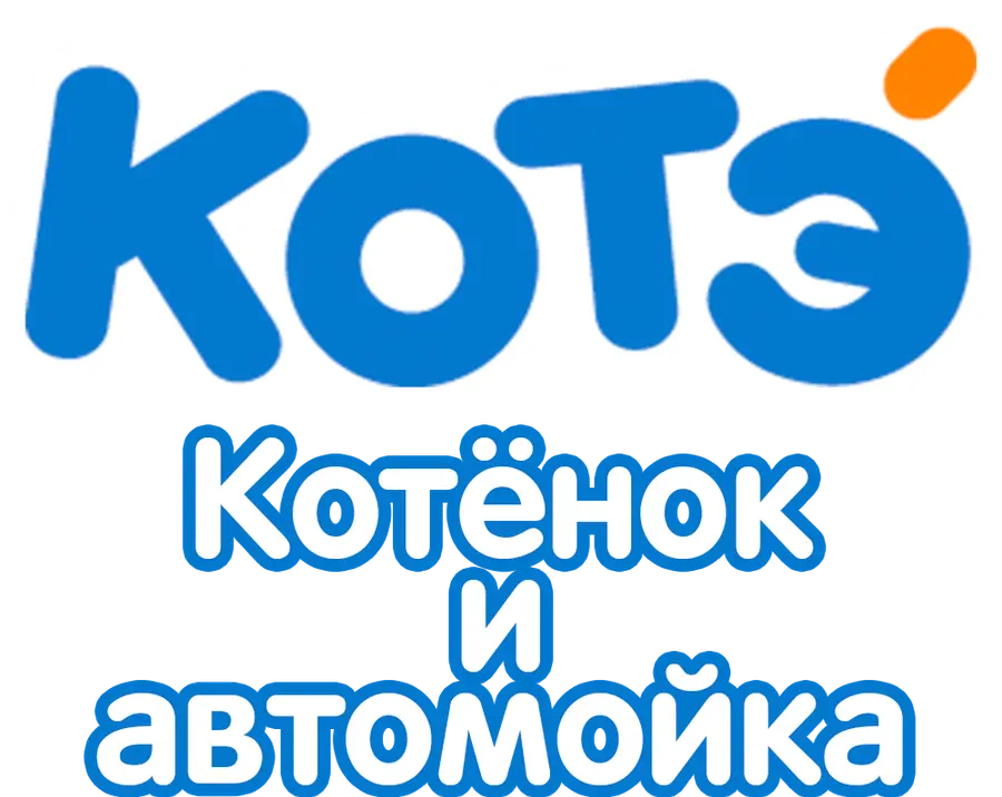 Котенок и автомойка