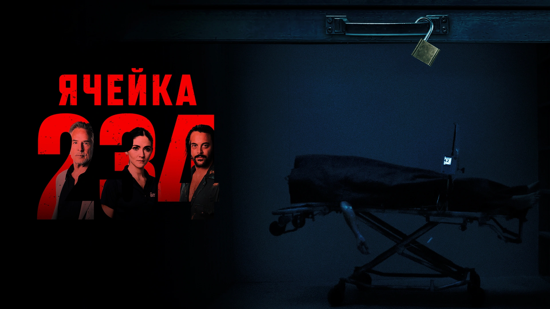 Ячейка 234