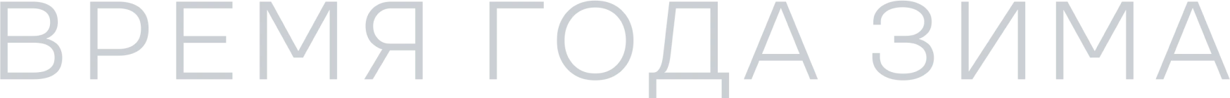 Время года зима