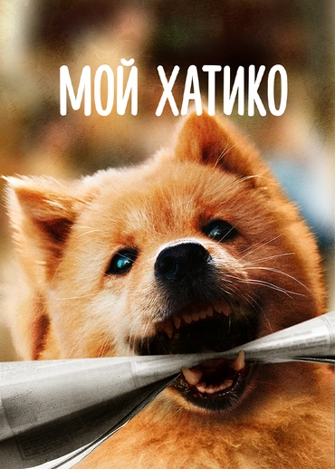 Мой Хатико
