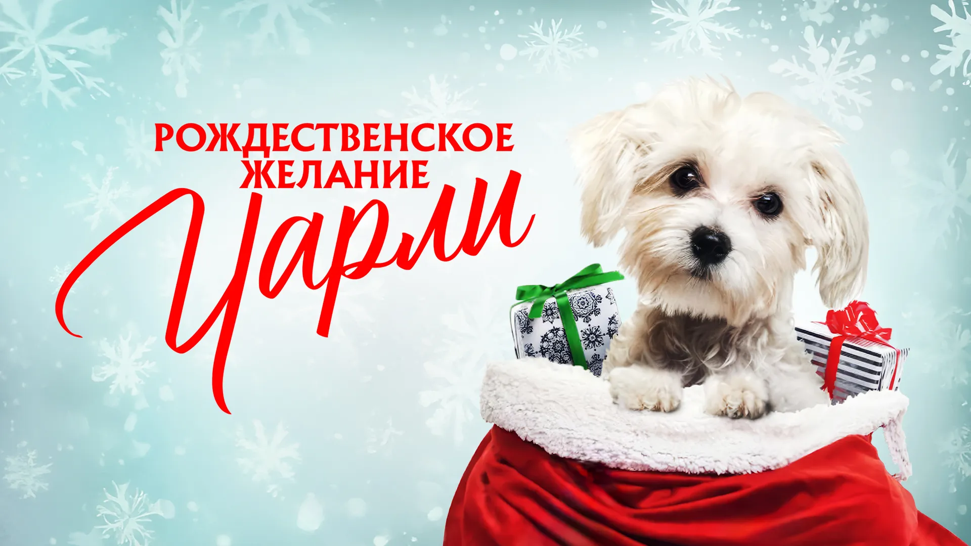 Рождественское желание Чарли