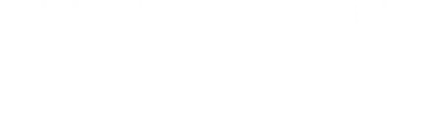 Нелегал