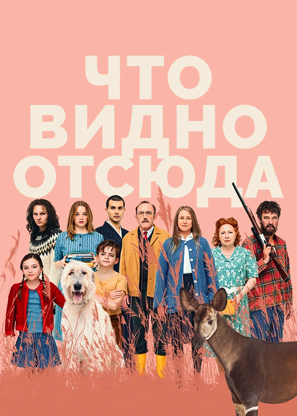 Что видно отсюда