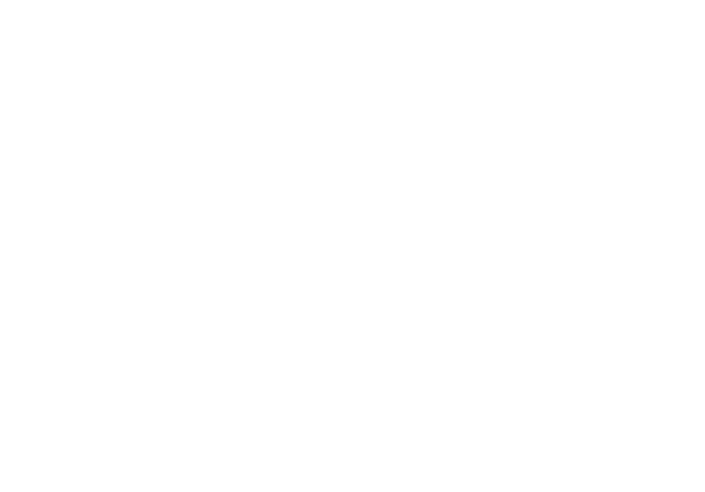 Тест