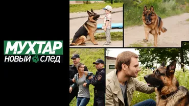 Мухтар. Новый след
