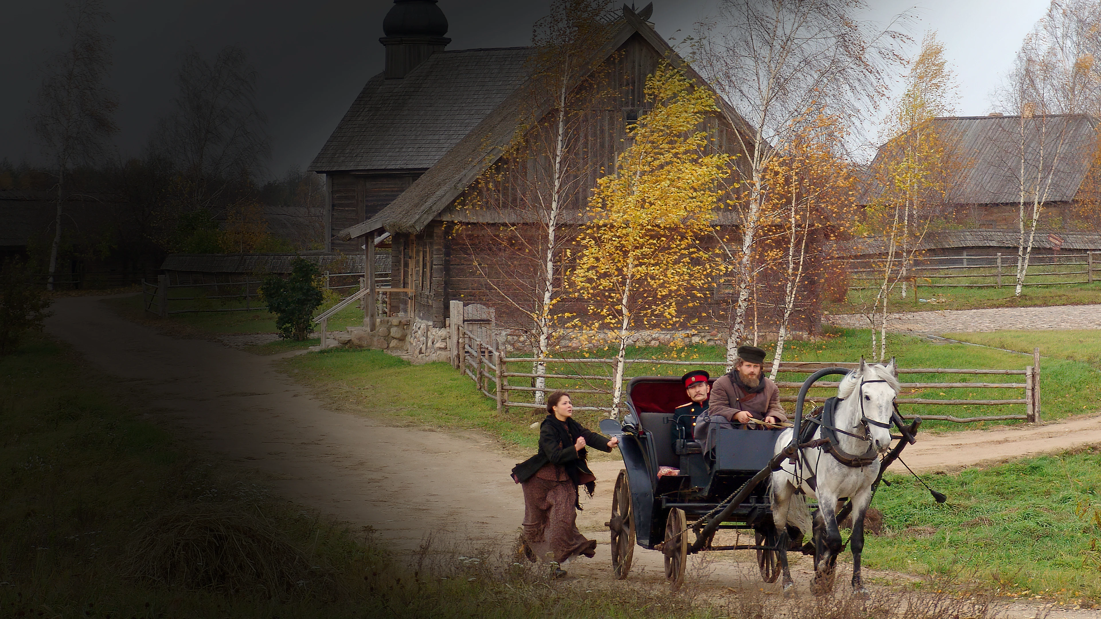 Братья Карамазовы (2008)