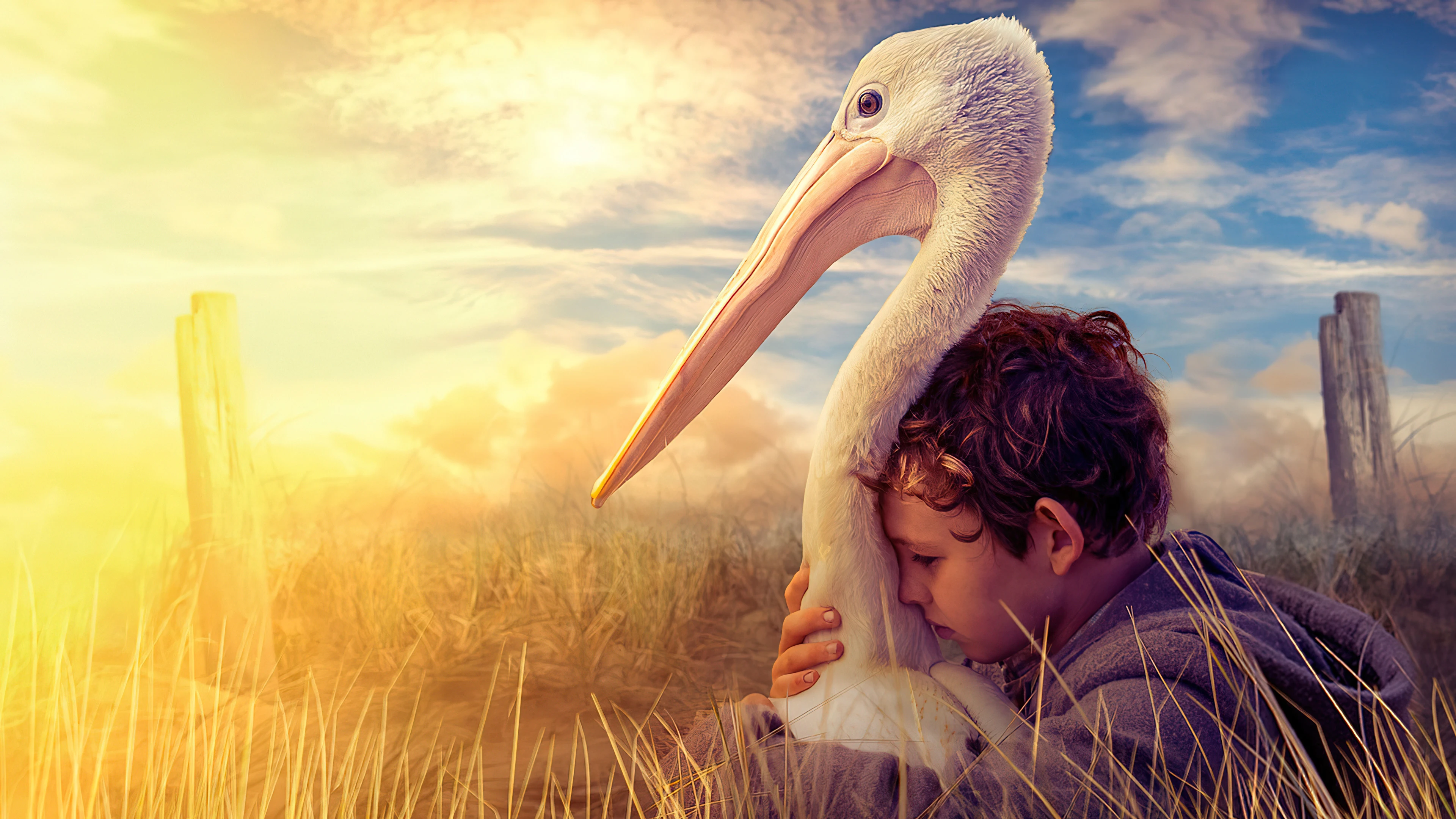 Мой друг мистер Персиваль