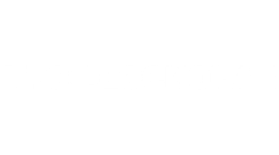 Профессионал (2011)