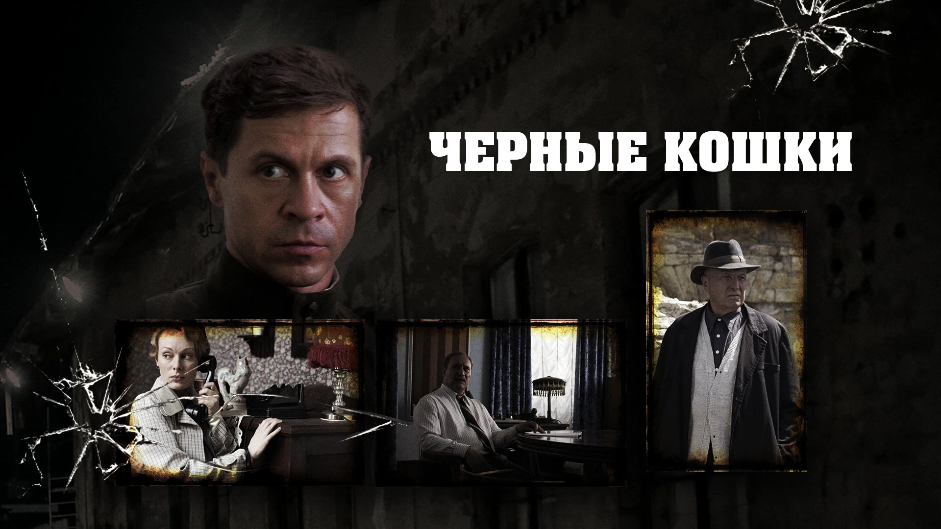 Черные кошки