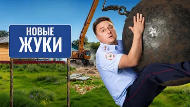ЖУКИ