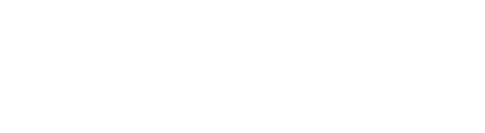 Высота Валерия Брумеля