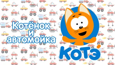 Котенок и автомойка
