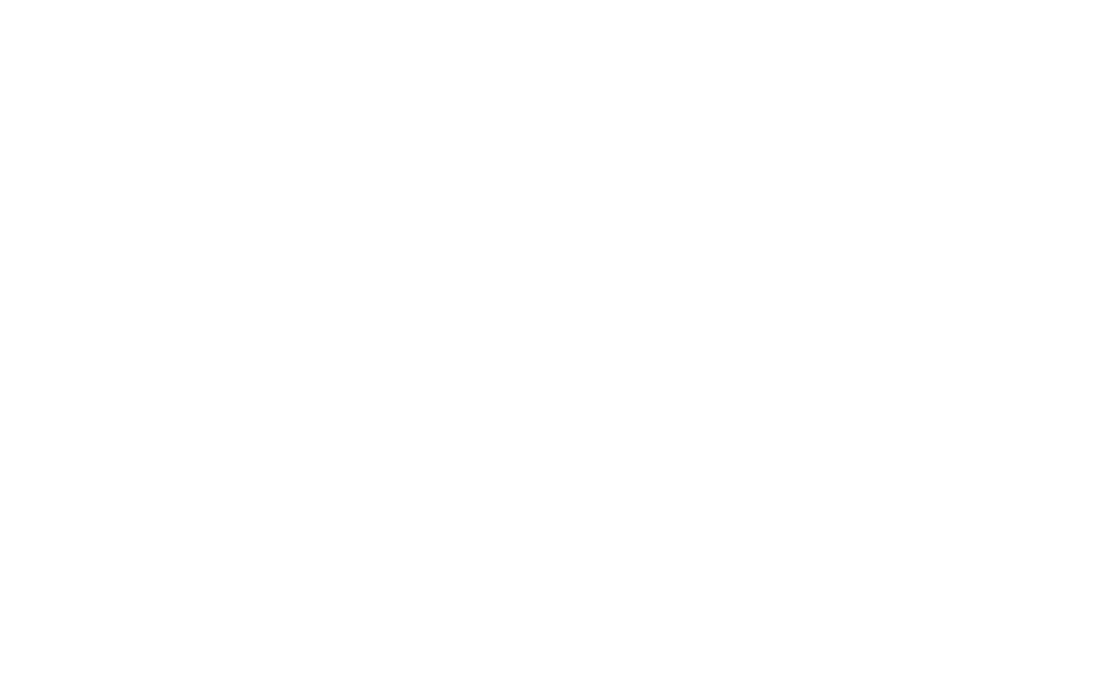 По имени Барон…