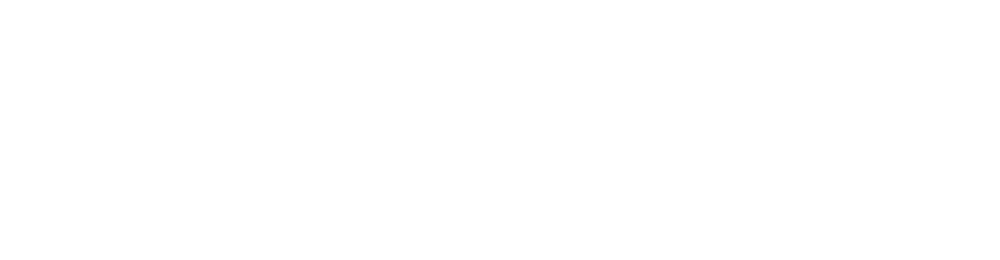 Таксопарк №13