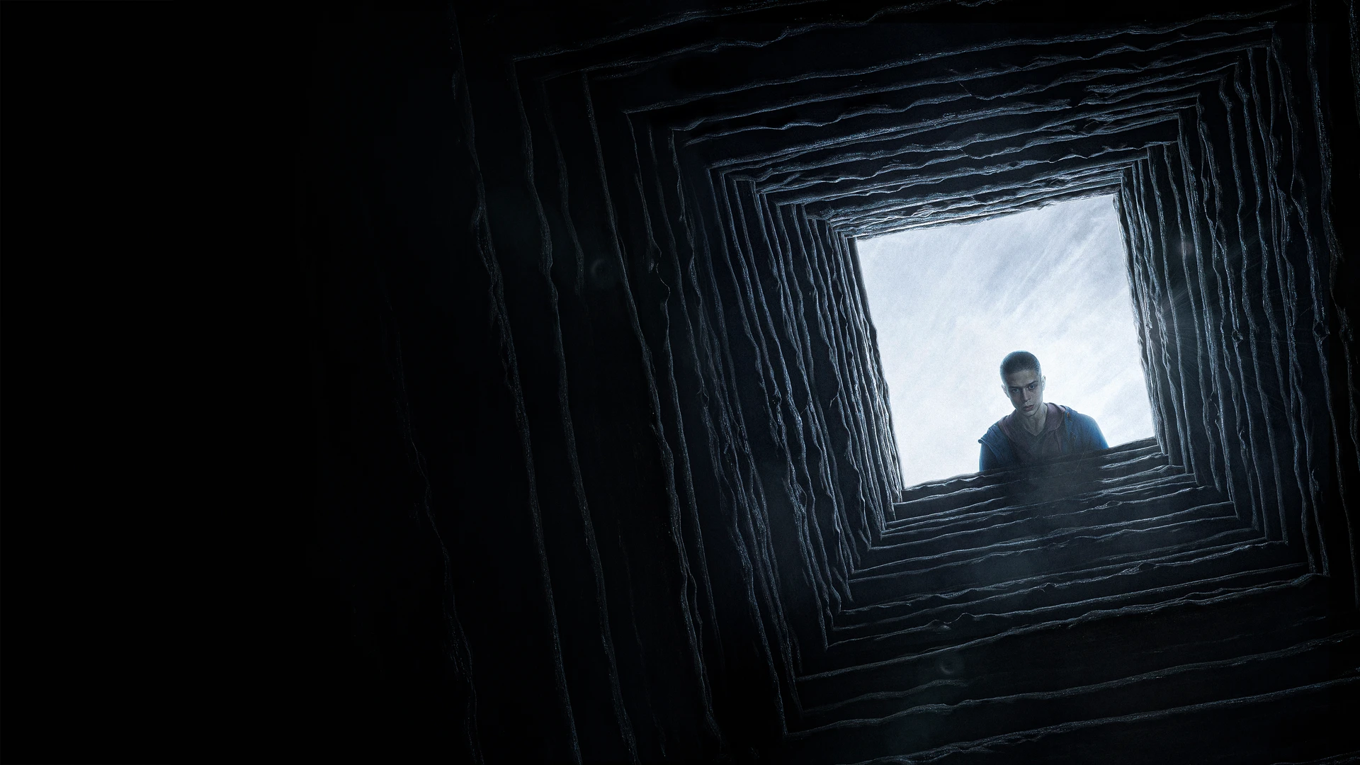 Территория. Режиссёрская версия