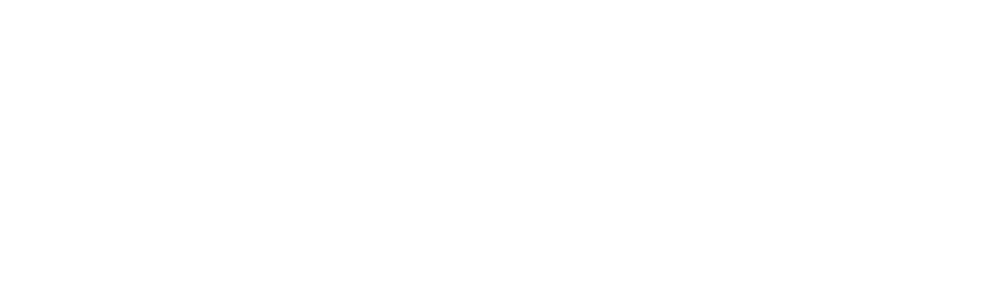 Шеф (2012)