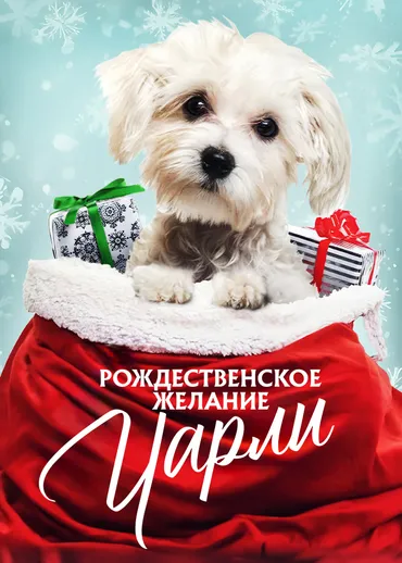 Рождественское желание Чарли