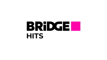 BRIDGE HITS
