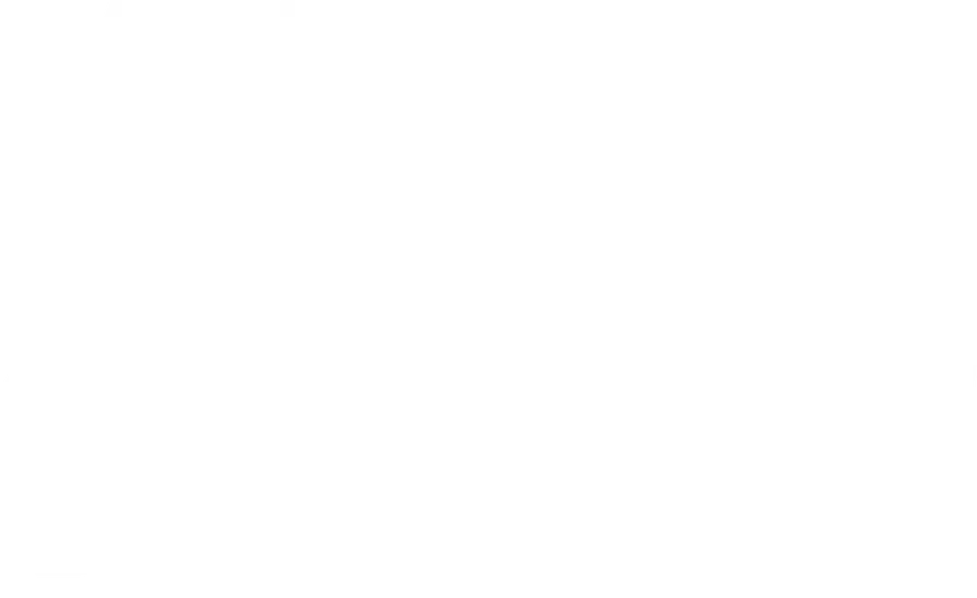 Кит stupid show