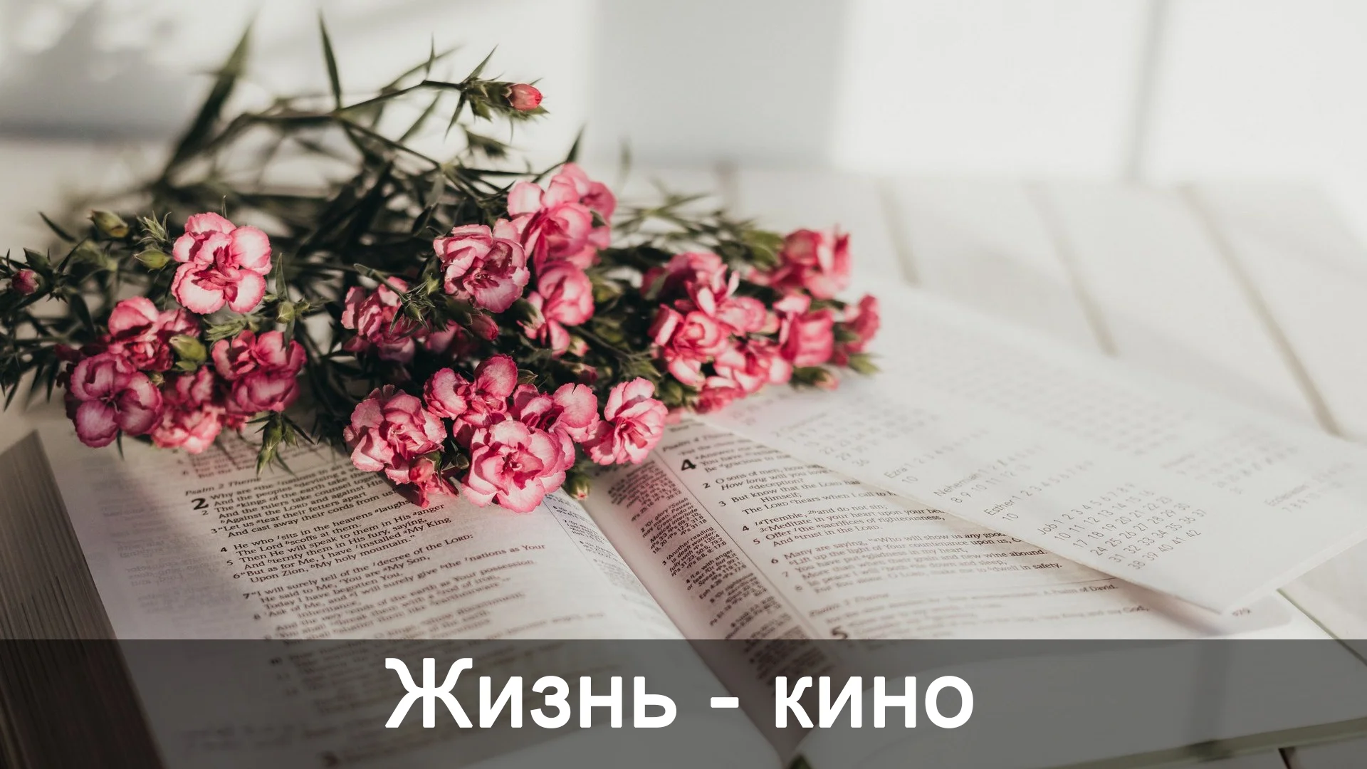 Жизнь - кино