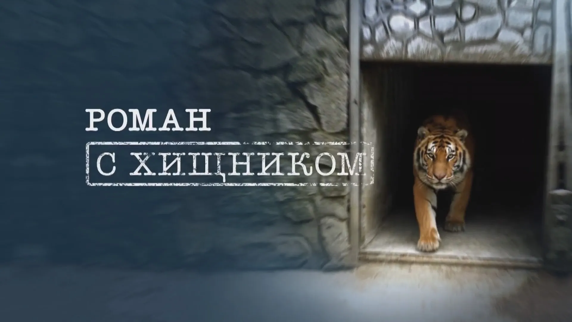 Роман с хищником