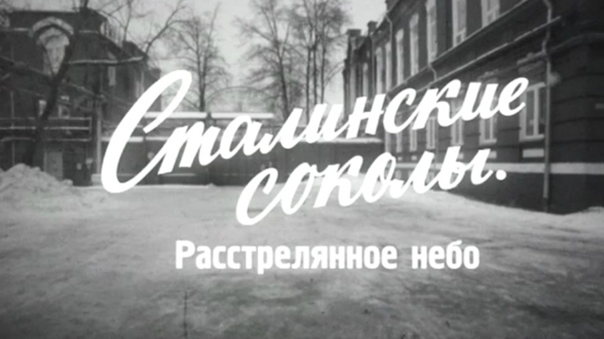 Сталинские соколы. Расстрелянное небо