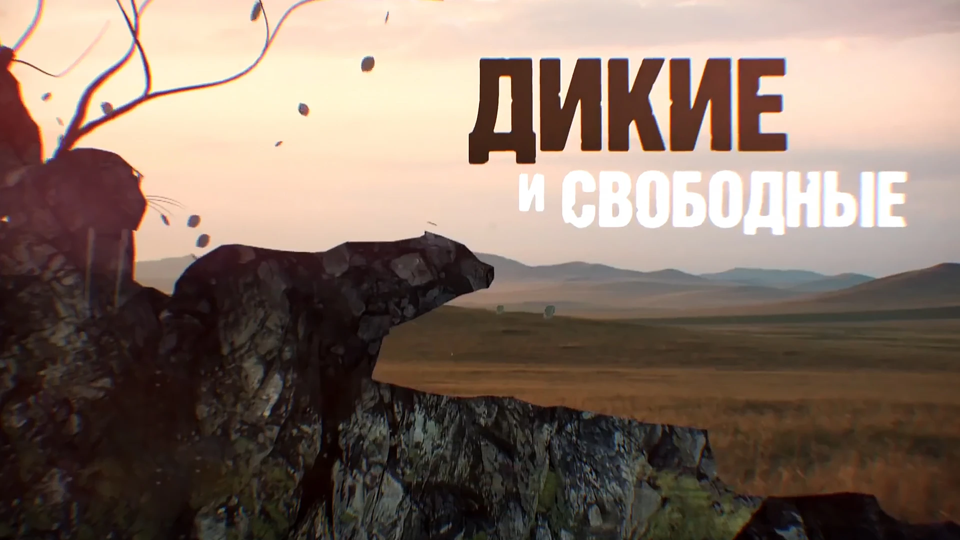 Дикие и свободные
