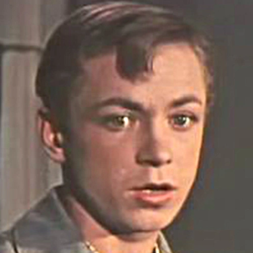 Вячеслав Жариков