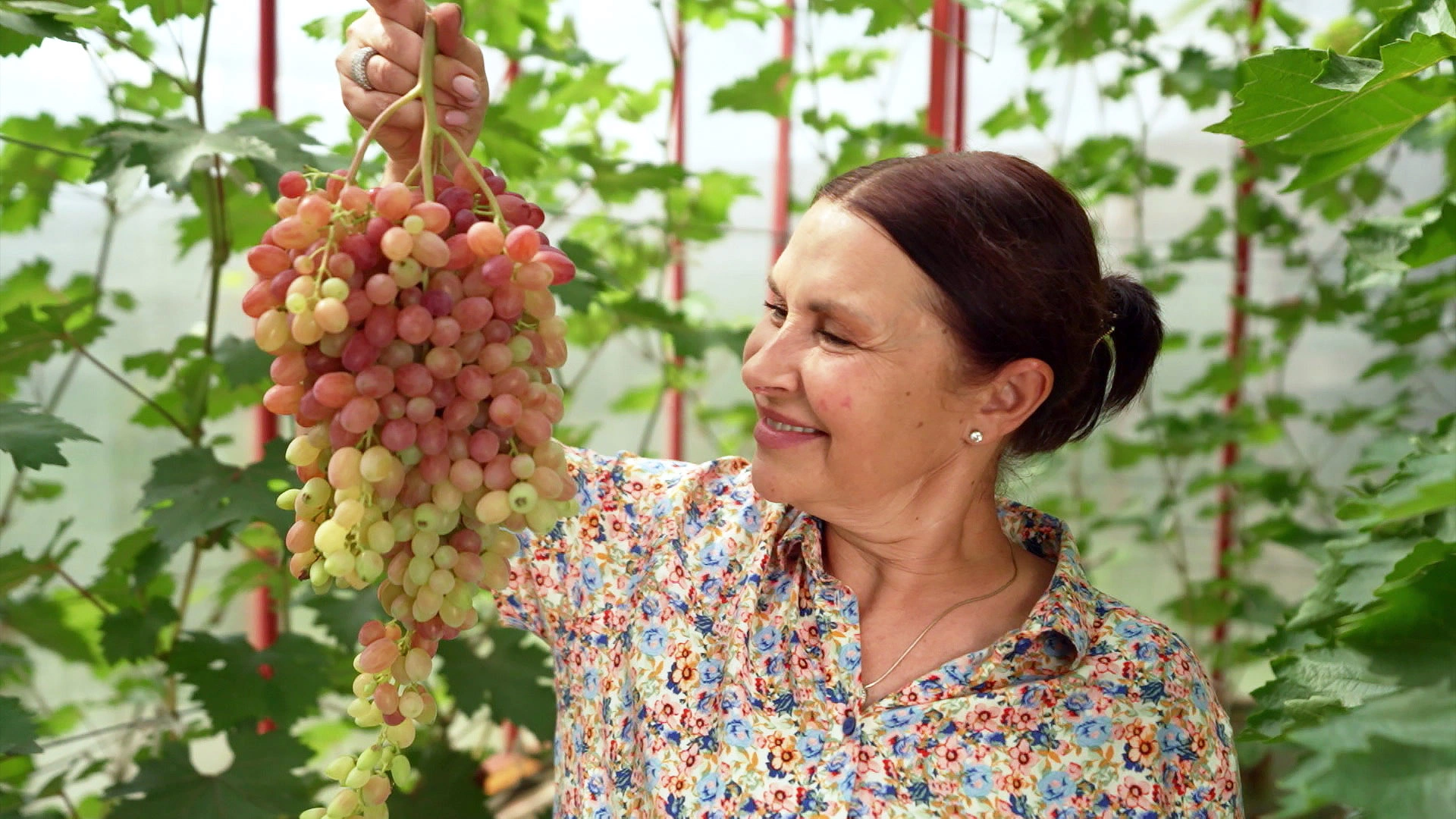 Московская область 2