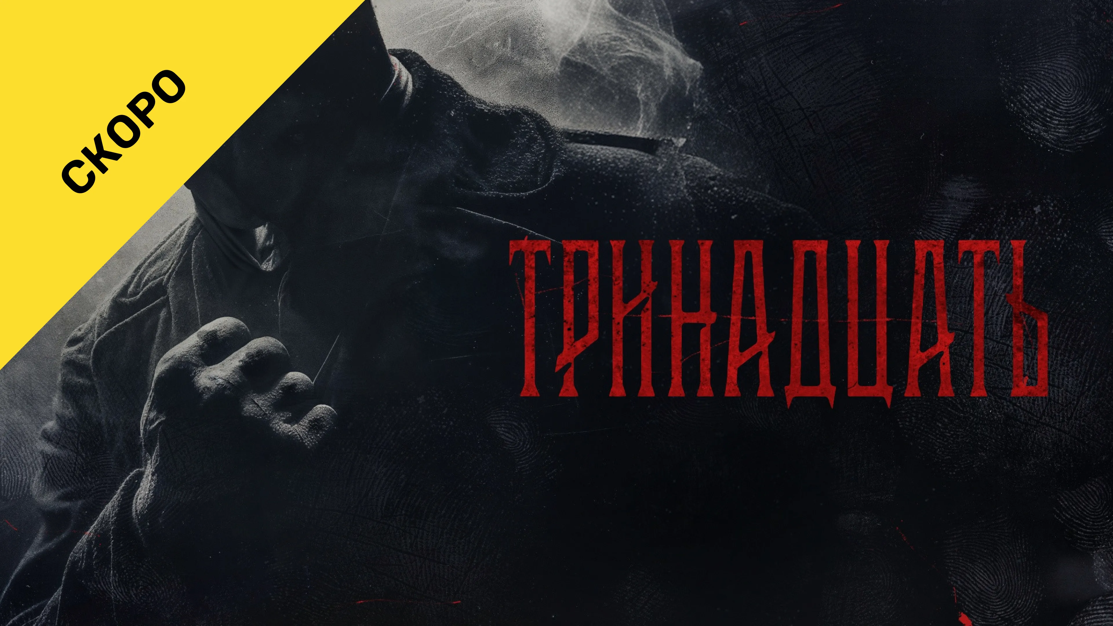 Тринадцать