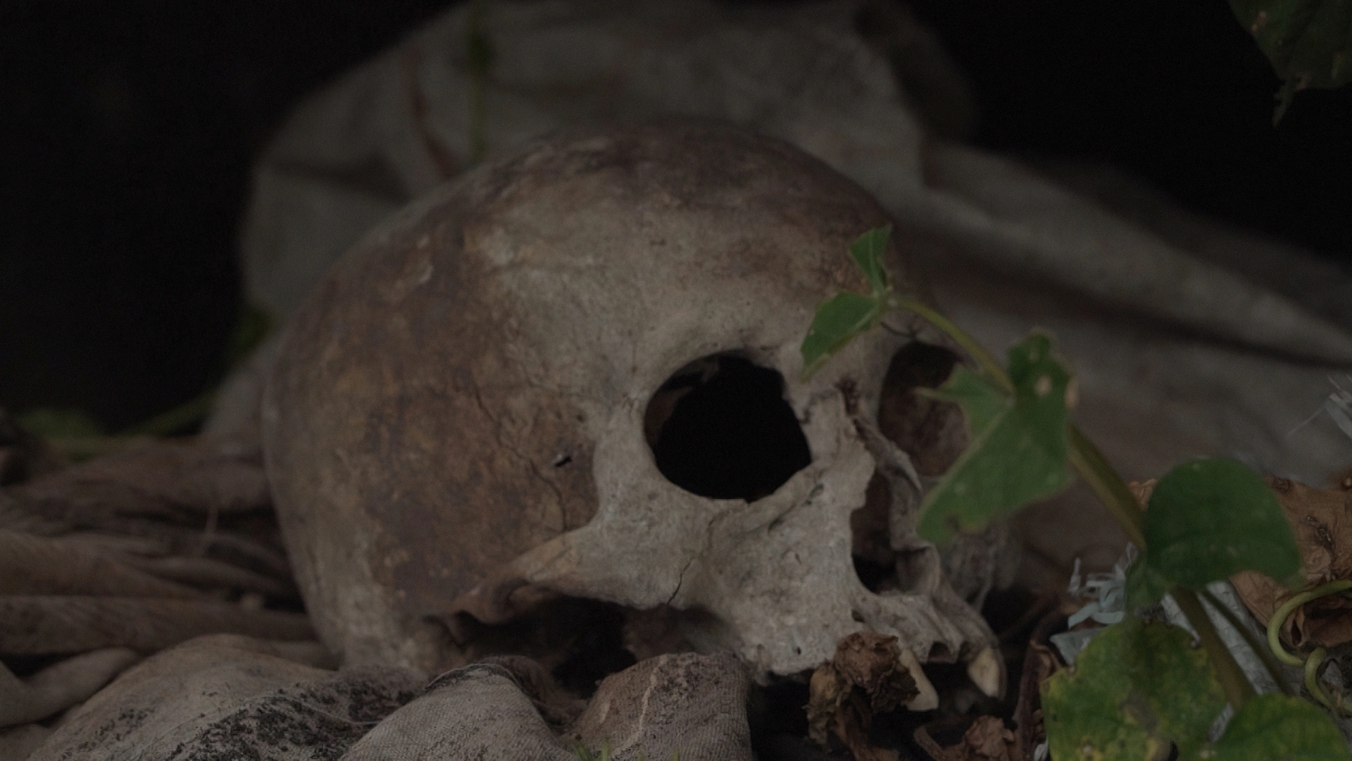 Город-Кладбище