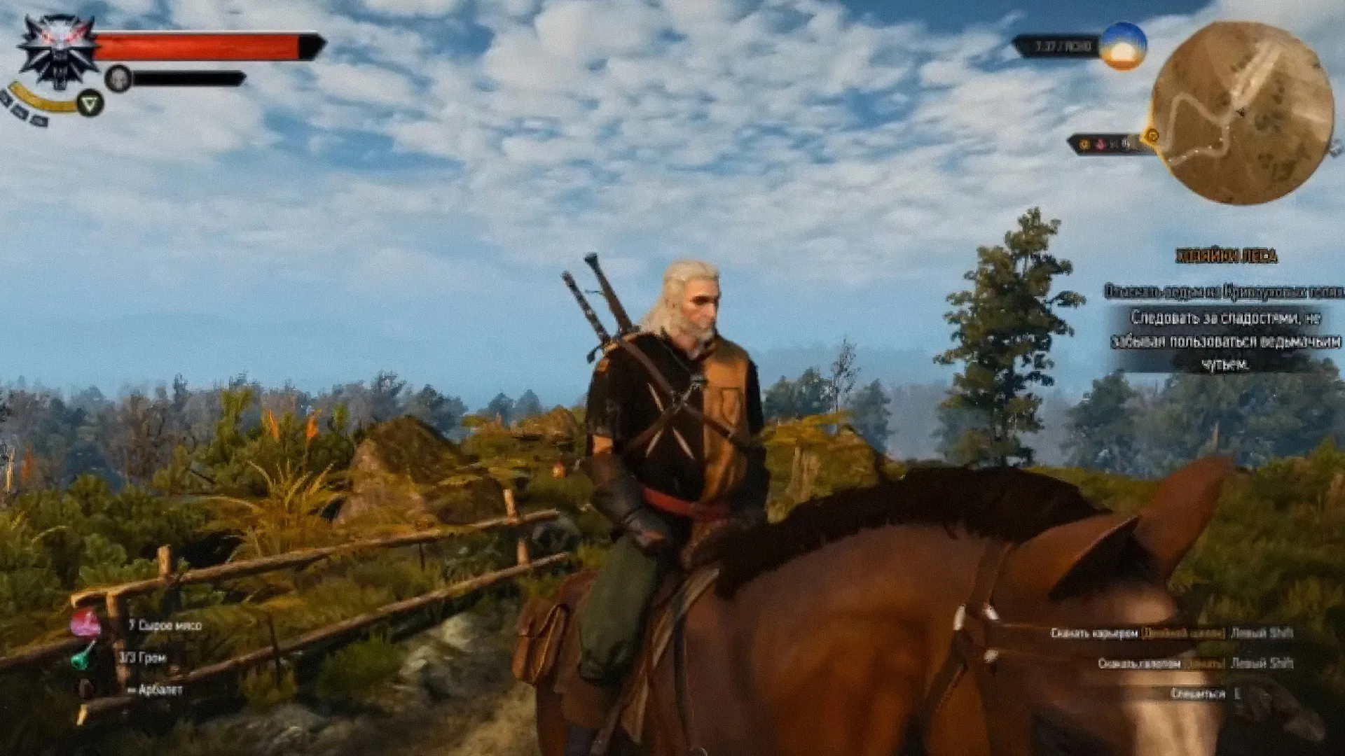 13 выпуск. The Witcher 3: Wild Hunt