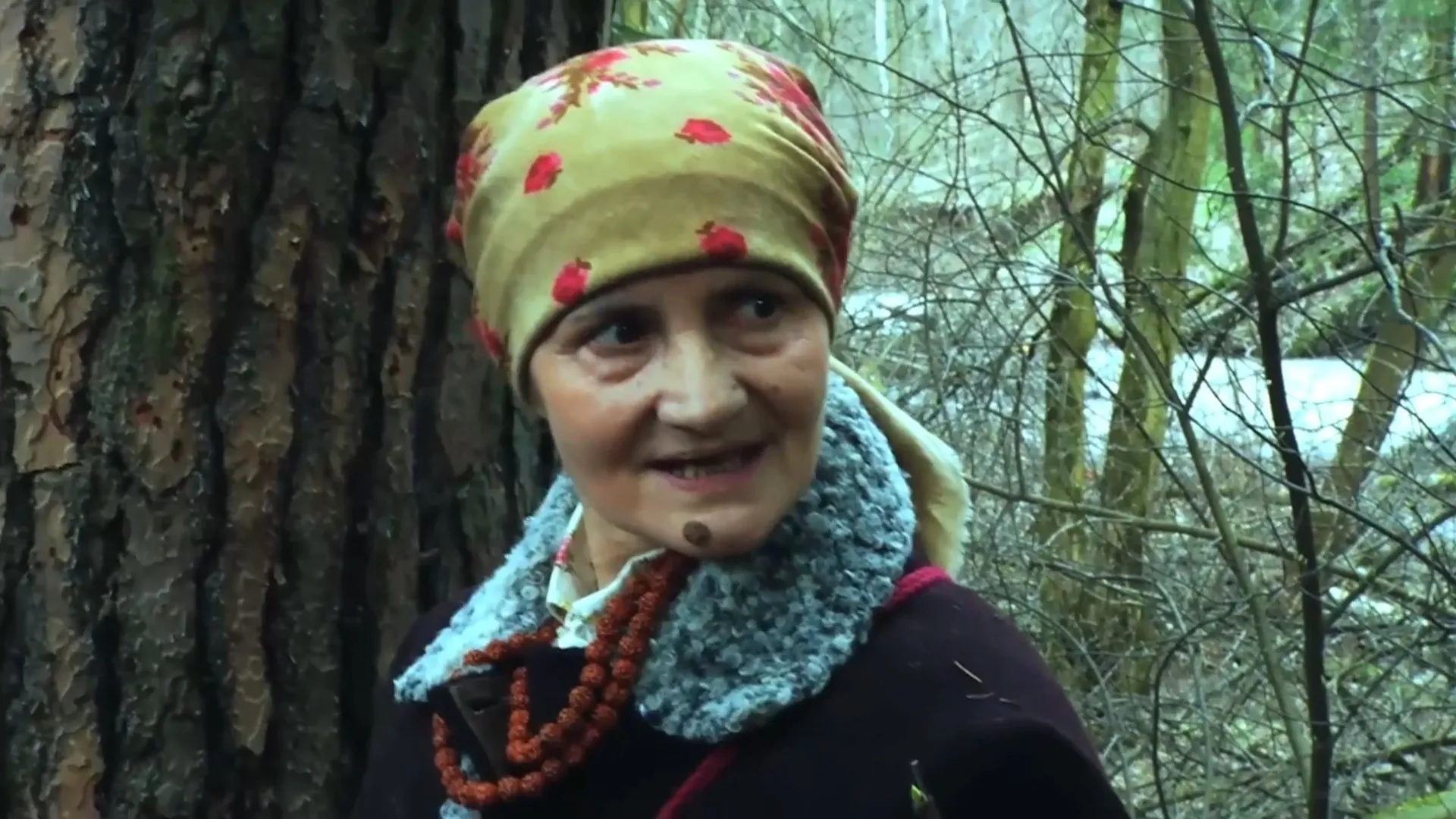 5 серия