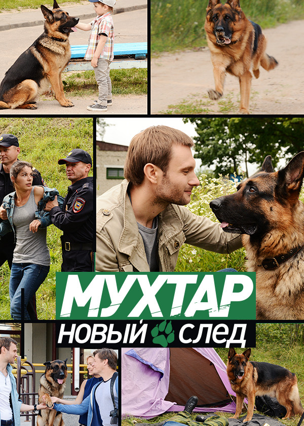 Мухтар. Новый след смотреть на TV+