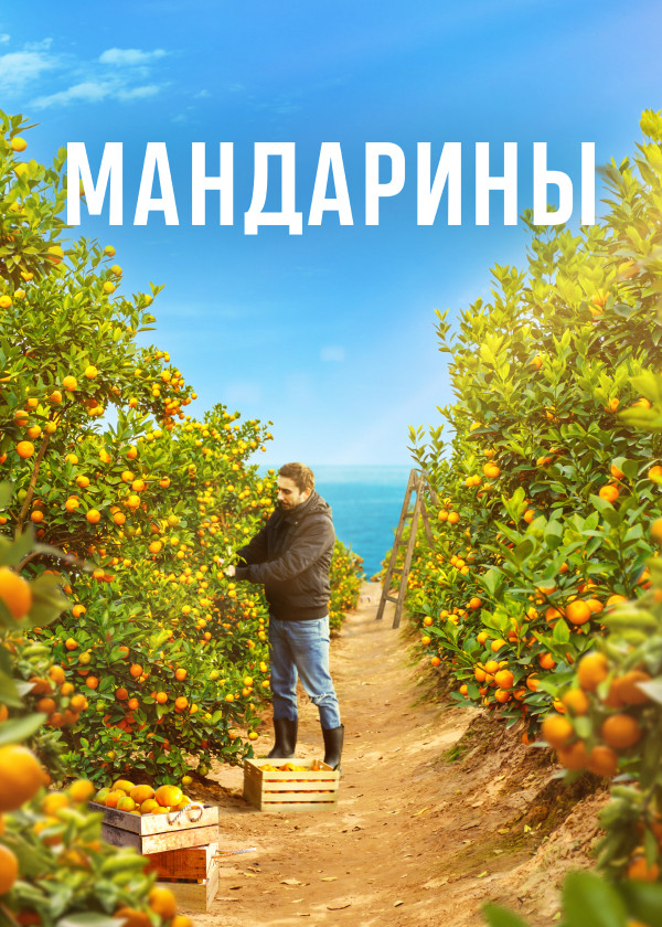 Мандарины смотреть на TV+